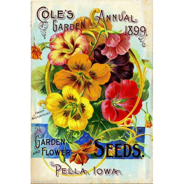 Steele Briggs Seed Vintage Flowers Seed Packet Catalogue Advertisement Poster